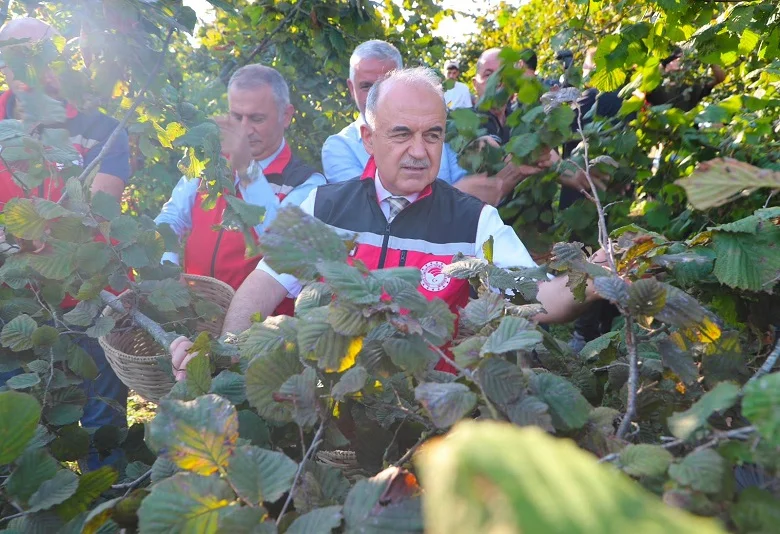 Ordu’da 2026 fındık hasadı başladı: Sezon bereket duasıyla açıldı 2 Ordu’da 2026 fındık hasadı başladı: Sezon bereket duasıyla açıldı