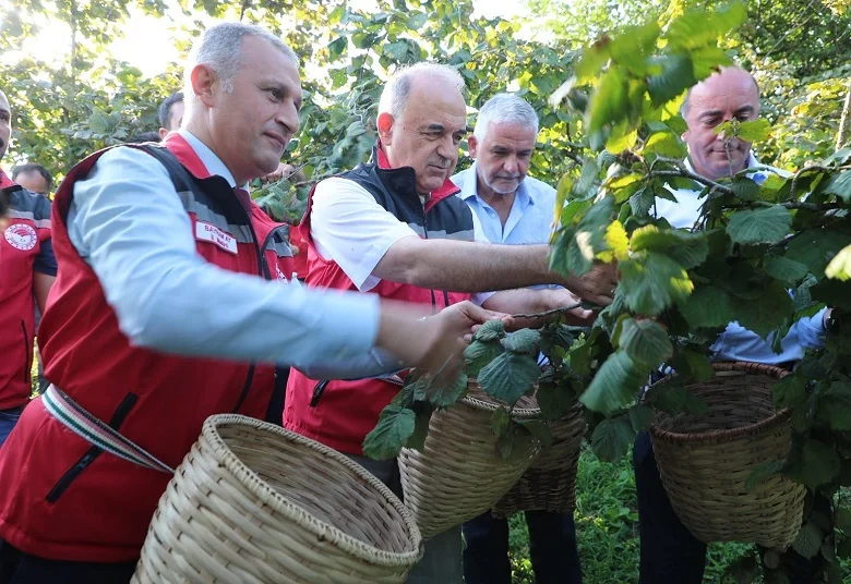 Ordu’da 2026 fındık hasadı başladı: Sezon bereket duasıyla açıldı