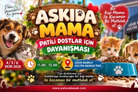 Yalova’da Patili Dostlar İçin “Askıda Mama” Dayanışması Başlıyor