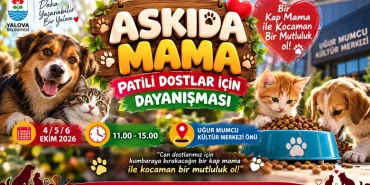 Yalova’da Patili Dostlar İçin “Askıda Mama” Dayanışması Başlıyor 11 Yalova’da Patili Dostlar İçin “Askıda Mama” Dayanışması Başlıyor