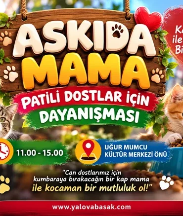 Yalova’da Patili Dostlar İçin “Askıda Mama” Dayanışması Başlıyor 3 Yalova’da Patili Dostlar İçin “Askıda Mama” Dayanışması Başlıyor