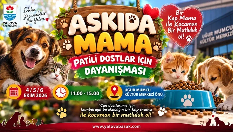 Yalova’da Patili Dostlar İçin “Askıda Mama” Dayanışması Başlıyor