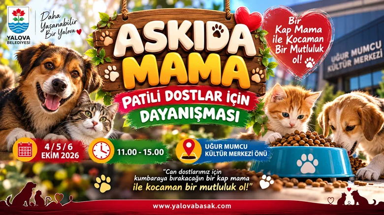Yalova’da Patili Dostlar İçin “Askıda Mama” Dayanışması Başlıyor