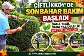 Çiftlikköy’de Sonbahar Bakımı Başladı: Yeşil Alanlar Yenileniyor 4 Çiftlikköy’de Sonbahar Bakımı Başladı: Yeşil Alanlar Yenileniyor