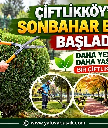 Çiftlikköy’de Sonbahar Bakımı Başladı: Yeşil Alanlar Yenileniyor 2 Çiftlikköy’de Sonbahar Bakımı Başladı: Yeşil Alanlar Yenileniyor