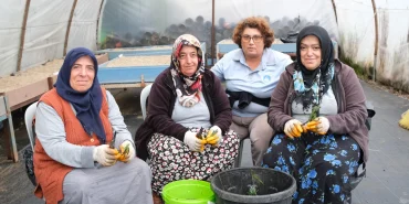 Çiftlikköy’de Bahar İçin Yeşil Mesai: 10 Bin Peyzaj Bitkisi Üretiliyor 22 Çiftlikköy’de Bahar İçin Yeşil Mesai: 10 Bin Peyzaj Bitkisi Üretiliyor