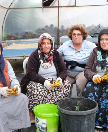 Çiftlikköy’de Bahar İçin Yeşil Mesai: 10 Bin Peyzaj Bitkisi Üretiliyor 2 Çiftlikköy’de Bahar İçin Yeşil Mesai: 10 Bin Peyzaj Bitkisi Üretiliyor
