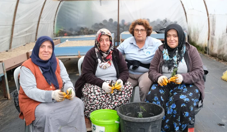 Çiftlikköy’de Bahar İçin Yeşil Mesai: 10 Bin Peyzaj Bitkisi Üretiliyor 1 Çiftlikköy’de Bahar İçin Yeşil Mesai: 10 Bin Peyzaj Bitkisi Üretiliyor