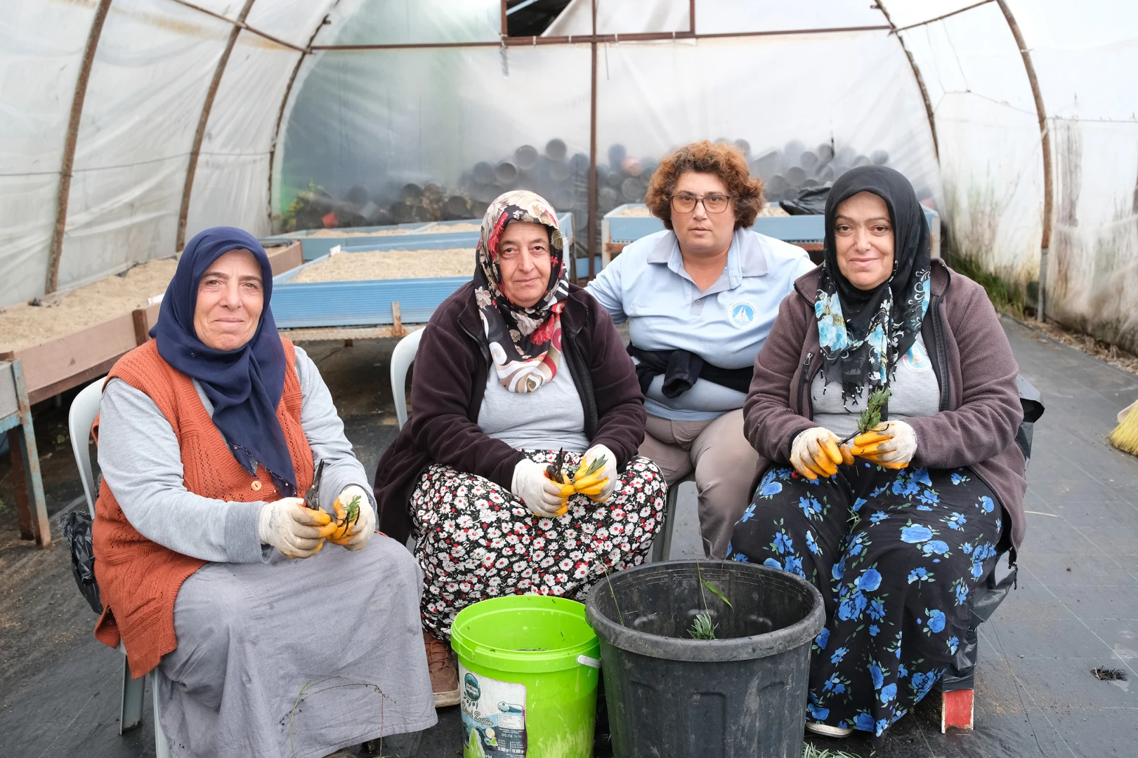 Çiftlikköy’de Bahar İçin Yeşil Mesai: 10 Bin Peyzaj Bitkisi Üretiliyor
