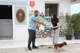 Çiftlikköy’de Can Dostlara Sıcak Yuva İçin Yeni Dönem: “Sahiplen” Artık Mobilde 4 Çiftlikköy’de Can Dostlara Sıcak Yuva İçin Yeni Dönem: “Sahiplen” Artık Mobilde