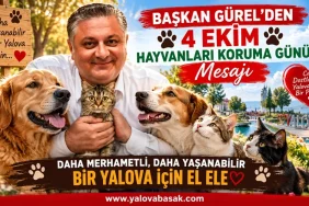 Başkan Gürel’den 4 Ekim Hayvanları Koruma Günü Mesajı 13 Başkan Gürel’den 4 Ekim Hayvanları Koruma Günü Mesajı