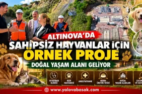 Altınova’da Sahipsiz Hayvanlar İçin Örnek Proje: Doğal Yaşam Alanı Geliyor 14 Altınova’da Sahipsiz Hayvanlar İçin Örnek Proje: Doğal Yaşam Alanı Geliyor