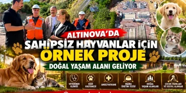 Altınova’da Sahipsiz Hayvanlar İçin Örnek Proje: Doğal Yaşam Alanı Geliyor 12 Altınova’da Sahipsiz Hayvanlar İçin Örnek Proje: Doğal Yaşam Alanı Geliyor