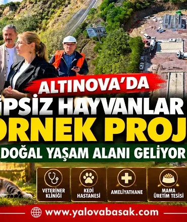 Altınova’da Sahipsiz Hayvanlar İçin Örnek Proje: Doğal Yaşam Alanı Geliyor 4 Altınova’da Sahipsiz Hayvanlar İçin Örnek Proje: Doğal Yaşam Alanı Geliyor
