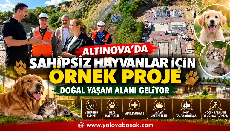 Altınova’da Sahipsiz Hayvanlar İçin Örnek Proje: Doğal Yaşam Alanı Geliyor 4 Altınova’da Sahipsiz Hayvanlar İçin Örnek Proje: Doğal Yaşam Alanı Geliyor
