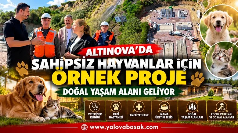 Altınova’da Sahipsiz Hayvanlar İçin Örnek Proje: Doğal Yaşam Alanı Geliyor
