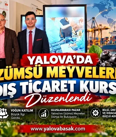 Yalova’da Üzümsü Meyveler Dış Ticaret Kursu: Yerel Üretim Uluslararası Pazara Açılıyor