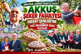 Vali Muammer Erol, Akkuş Şeker Fasulyesi Hasat Şenliği’ne Katıldı: Üretimde Hedef Daha Büyük Rekolte 10 Vali Muammer Erol, Akkuş Şeker Fasulyesi Hasat Şenliği’ne Katıldı: Üretimde Hedef Daha Büyük Rekolte