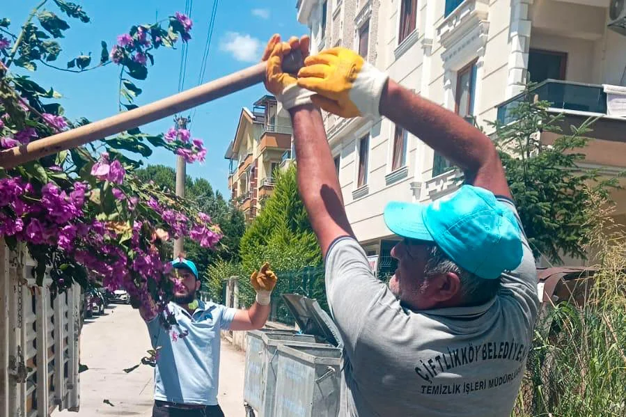 Çiftlikköy'de Temizlik Seferberliği Sürüyor: 54 Günde 2 Bin 276 Ton Evsel Atık Toplandı 6 Çiftlikköy'de Temizlik Seferberliği Sürüyor: 54 Günde 2 Bin 276 Ton Evsel Atık Toplandı