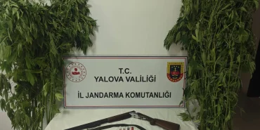 Çiftlikköy'de Seraya Uyuşturucu Operasyonu: 46 Kök Kenevir Ele Geçirildi 6 Çiftlikköy'de Seraya Uyuşturucu Operasyonu: 46 Kök Kenevir Ele Geçirildi