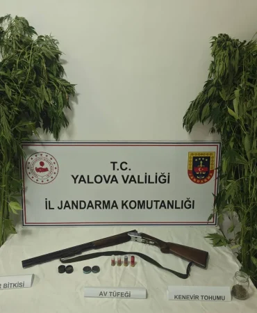 Çiftlikköy'de Seraya Uyuşturucu Operasyonu: 46 Kök Kenevir Ele Geçirildi 4 Çiftlikköy'de Seraya Uyuşturucu Operasyonu: 46 Kök Kenevir Ele Geçirildi