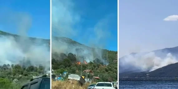 Armutlu-Gemlik Orman Yangını Kontrol Altına Alındı! 227 Personel ve 5 Helikopterle Dev Müdahale 14 Armutlu-Gemlik Orman Yangını Kontrol Altına Alındı! 227 Personel ve 5 Helikopterle Dev Müdahale