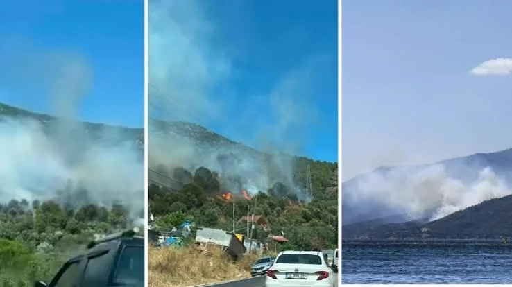 Armutlu-Gemlik Orman Yangını Kontrol Altına Alındı! 227 Personel ve 5 Helikopterle Dev Müdahale