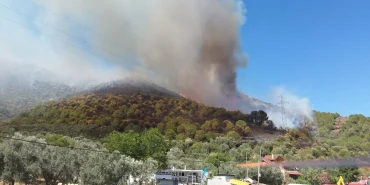 Armutlu-Gemlik Orman Yangını Kontrol Altına Alındı! 227 Personel ve 5 Helikopterle Dev Müdahale 3 Armutlu-Gemlik Orman Yangını Kontrol Altına Alındı! 227 Personel ve 5 Helikopterle Dev Müdahale
