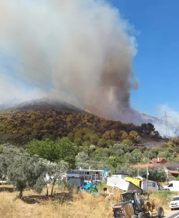 Armutlu-Gemlik Orman Yangını Kontrol Altına Alındı! 227 Personel ve 5 Helikopterle Dev Müdahale