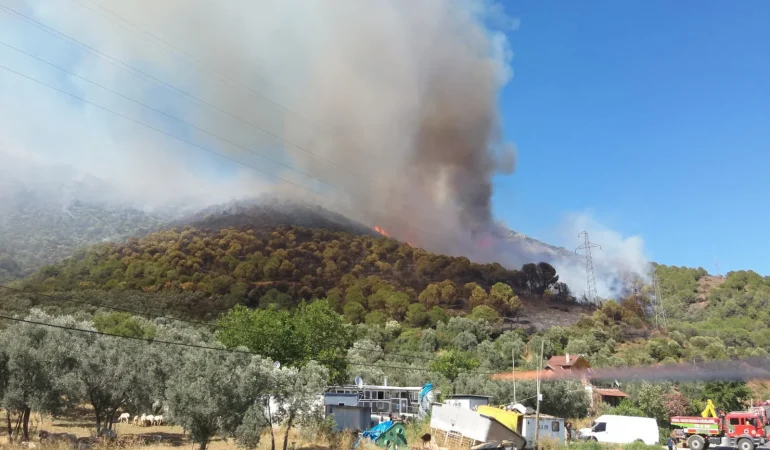 Armutlu-Gemlik Orman Yangını Kontrol Altına Alındı! 227 Personel ve 5 Helikopterle Dev Müdahale 1 Armutlu-Gemlik Orman Yangını Kontrol Altına Alındı! 227 Personel ve 5 Helikopterle Dev Müdahale