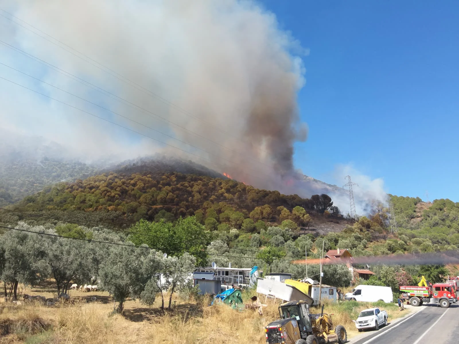 Armutlu-Gemlik Orman Yangını Kontrol Altına Alındı! 227 Personel ve 5 Helikopterle Dev Müdahale 19 Armutlu-Gemlik Orman Yangını Kontrol Altına Alındı! 227 Personel ve 5 Helikopterle Dev Müdahale
