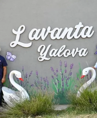 Yalova'nın Huzur Rotası Lavanta Yalova Ziyaretçilerini Ağırlıyor: Doğa, Sanat ve Lezzet Bir Arada 7 Yalova'nın Huzur Rotası Lavanta Yalova Ziyaretçilerini Ağırlıyor: Doğa, Sanat ve Lezzet Bir Arada