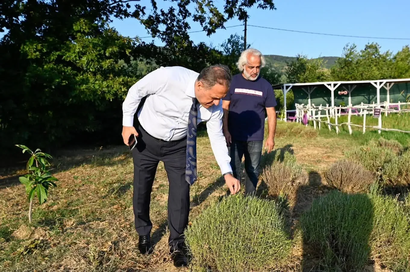 Yalova'nın Huzur Rotası Lavanta Yalova Ziyaretçilerini Ağırlıyor: Doğa, Sanat ve Lezzet Bir Arada 6 Yalova'nın Huzur Rotası Lavanta Yalova Ziyaretçilerini Ağırlıyor: Doğa, Sanat ve Lezzet Bir Arada