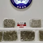 Yalova’da Narkotik Operasyonu: 11 Kilo 185 Gram Uyuşturucu Ele Geçirildi, 2 Şüpheli Tutuklandı 25 Yalova’da Narkotik Operasyonu: 11 Kilo 185 Gram Uyuşturucu Ele Geçirildi, 2 Şüpheli Tutuklandı