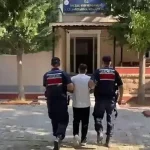 Jandarmadan 28 İlde Nefes Kesen Operasyon: Milyonlarca Kök Kenevir İmha Edildi 24 Jandarmadan 28 İlde Nefes Kesen Operasyon: Milyonlarca Kök Kenevir İmha Edildi