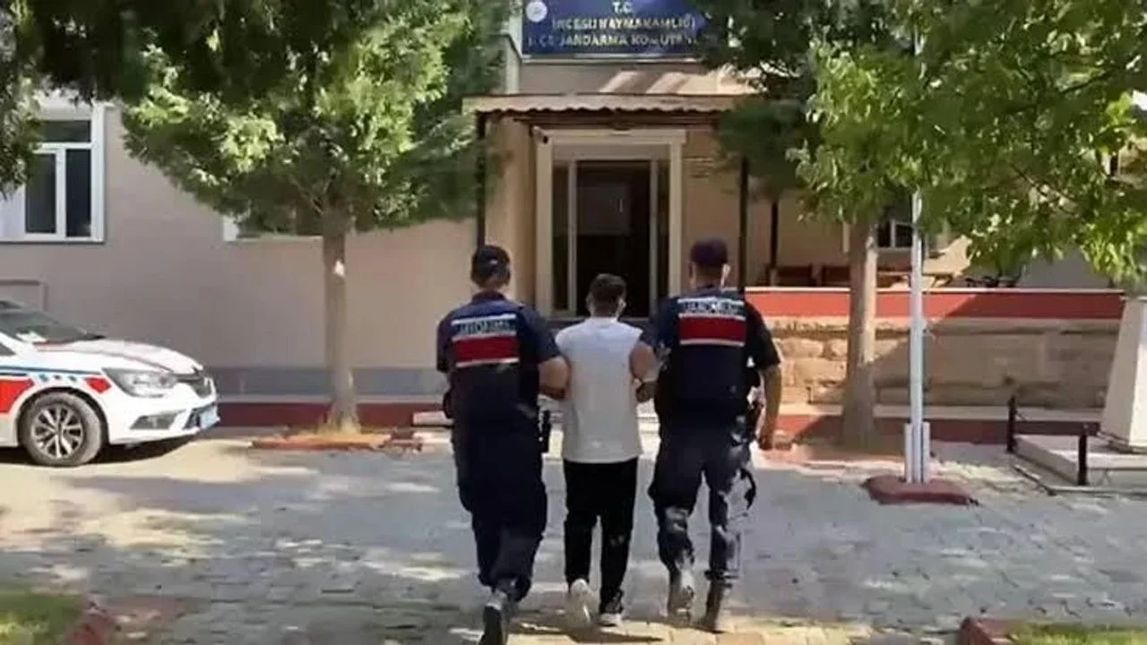 Jandarmadan 28 İlde Nefes Kesen Operasyon: Milyonlarca Kök Kenevir İmha Edildi