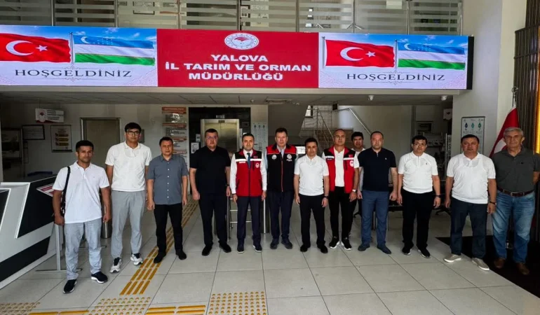 Özbekistan Heyetinden Yalova’da Tarım ve TARSİM İncelemesi