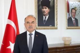 Fatsa’da Sokak Hayvanları İçin Yeni Yaşam Alanı: 350 Can Dostu Güvenli Yuvaya Kavuşacak 1 thumbnail