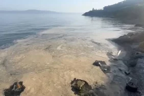 Yalova’da Ormanlık Alanda Kaybolan Alzheimer Hastası 2 Saatlik Operasyonla Kurtarıldı