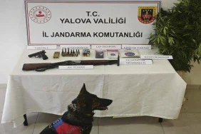 Yalova’da Uyuşturucu Operasyonu: Kenevir Bitkileri, Ruhsatsız Silahlar ve Mühimmat Ele Geçirildi 4 Yalova’da Uyuşturucu Operasyonu: Kenevir Bitkileri, Ruhsatsız Silahlar ve Mühimmat Ele Geçirildi