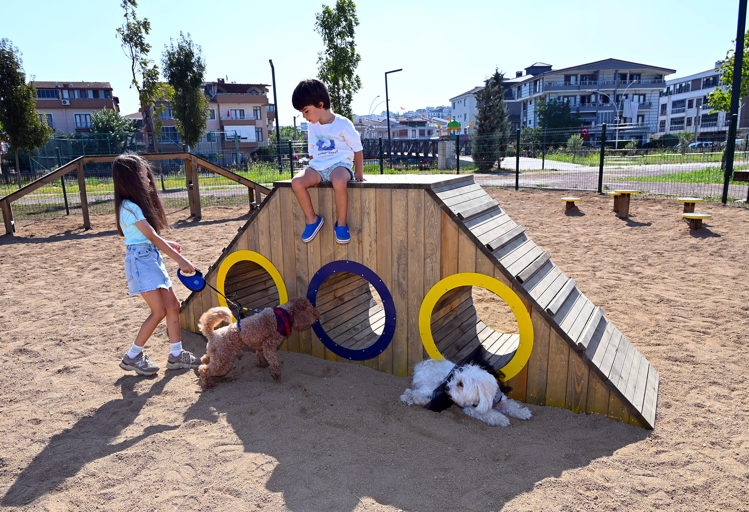PATİLİ DOSTLARIMIZA ÖZEL PATİ PARK AÇILDI 1 PATİLİ DOSTLARIMIZA ÖZEL PATİ PARK AÇILDI